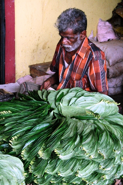 sri-lanka-1182