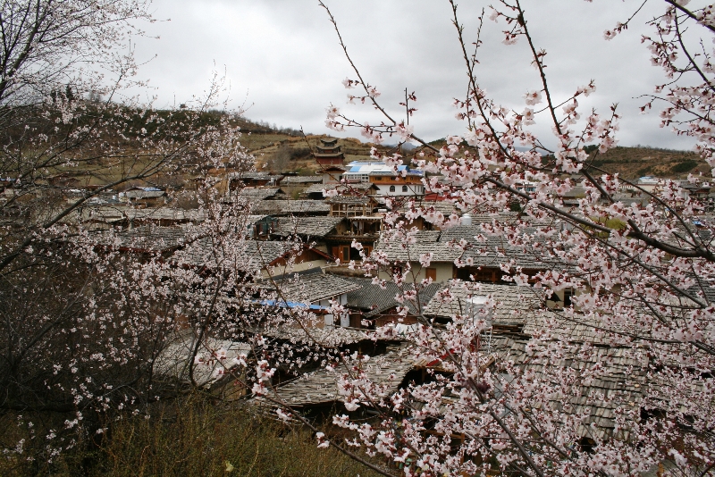 cina-2010-zhongdiang-11