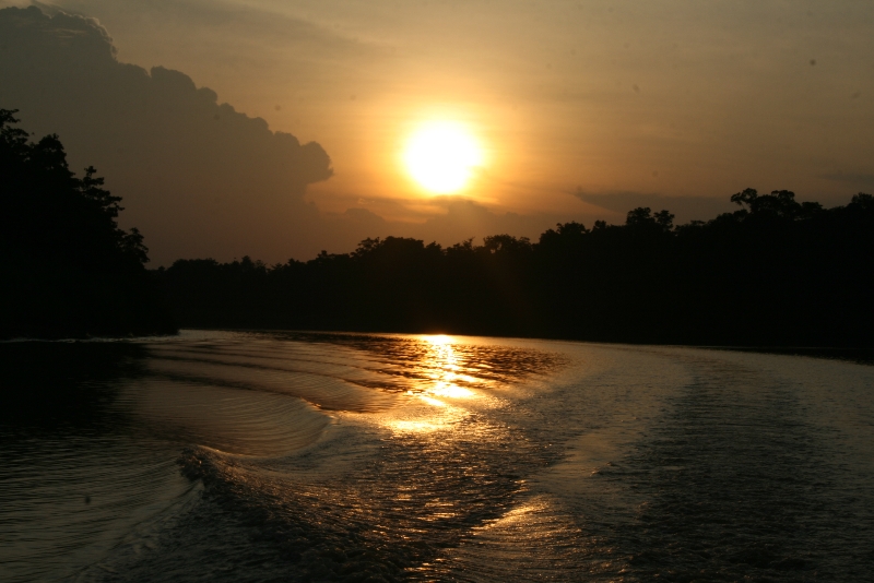 kinabatangan