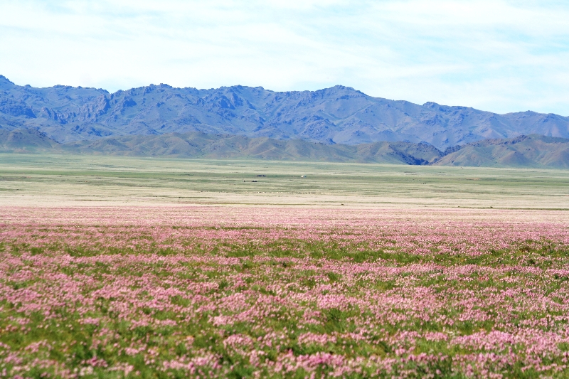 mongolia-agosto-2012-3