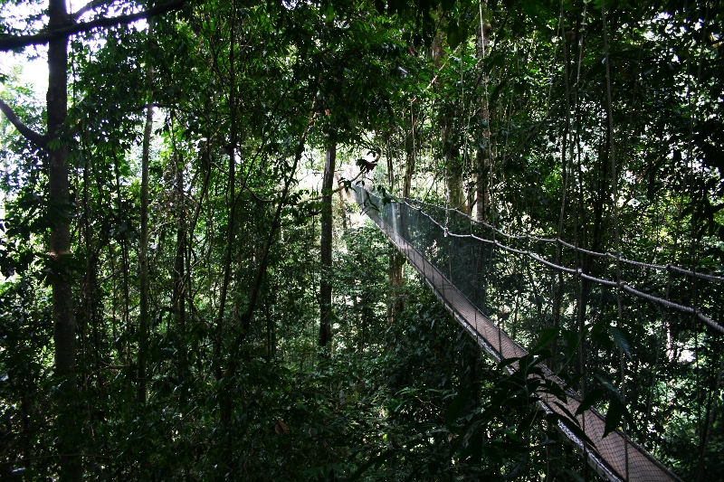 mount-kinabalu